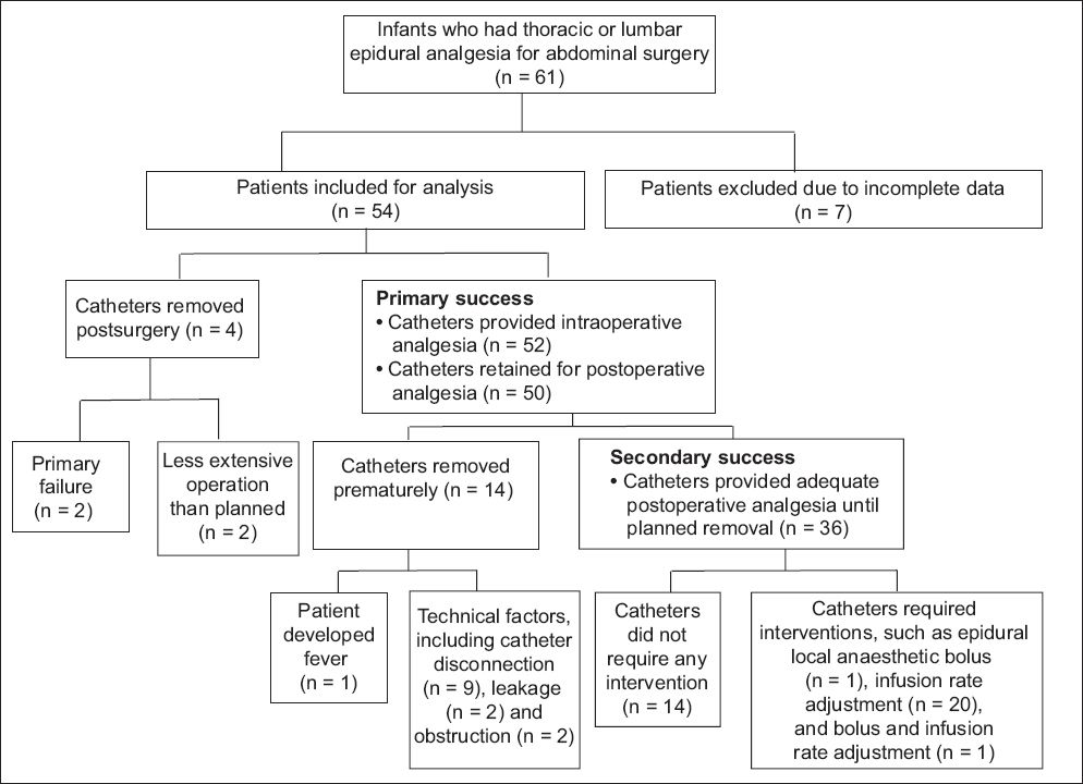 Epidural Chart