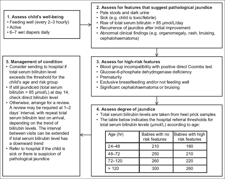 Jaundice Chart Malaysia