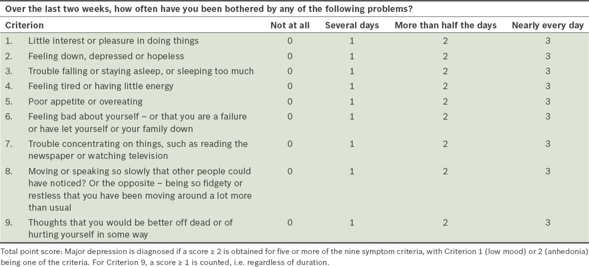 Patient Health Questionnaire-9.(34) 