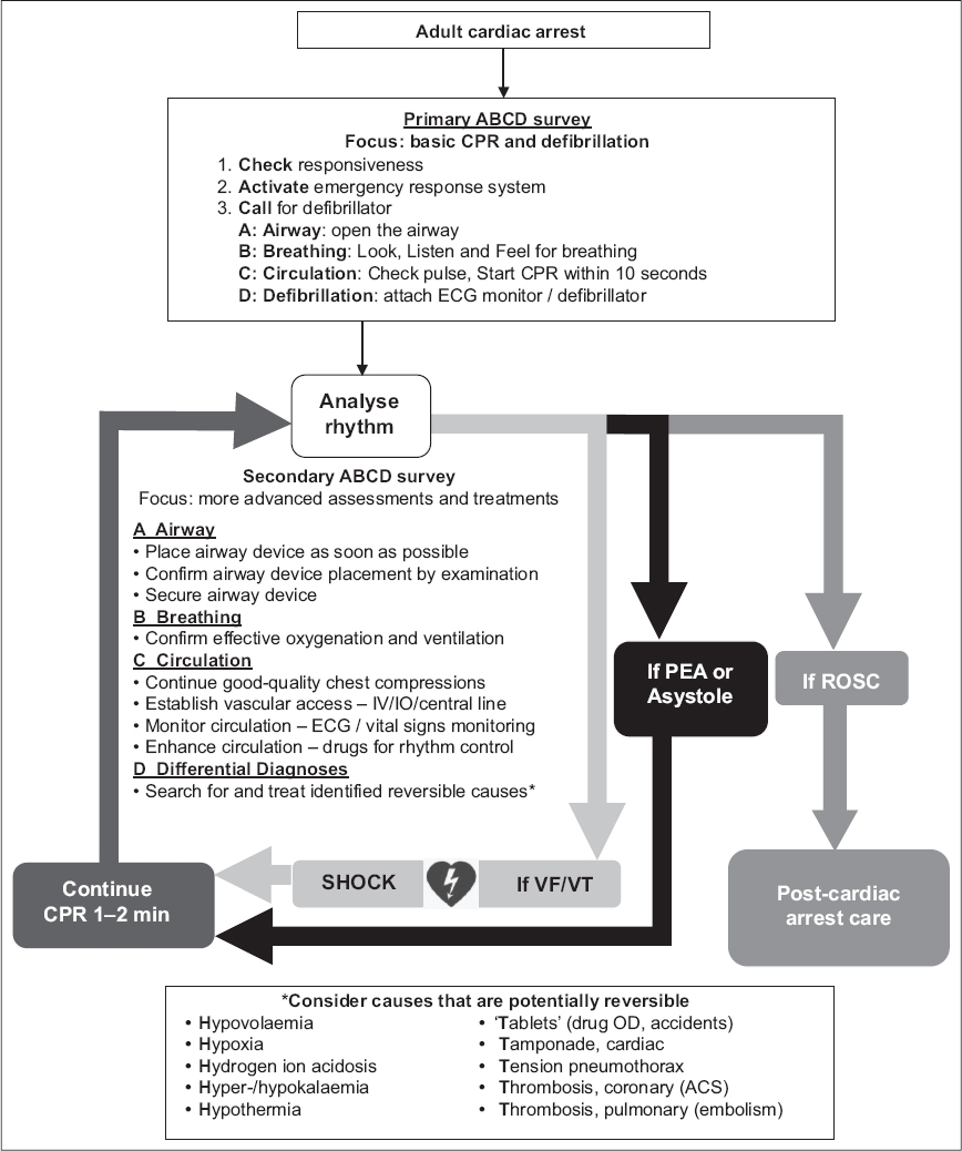 advanced cardiovascular life support (acls) provider manual pdf