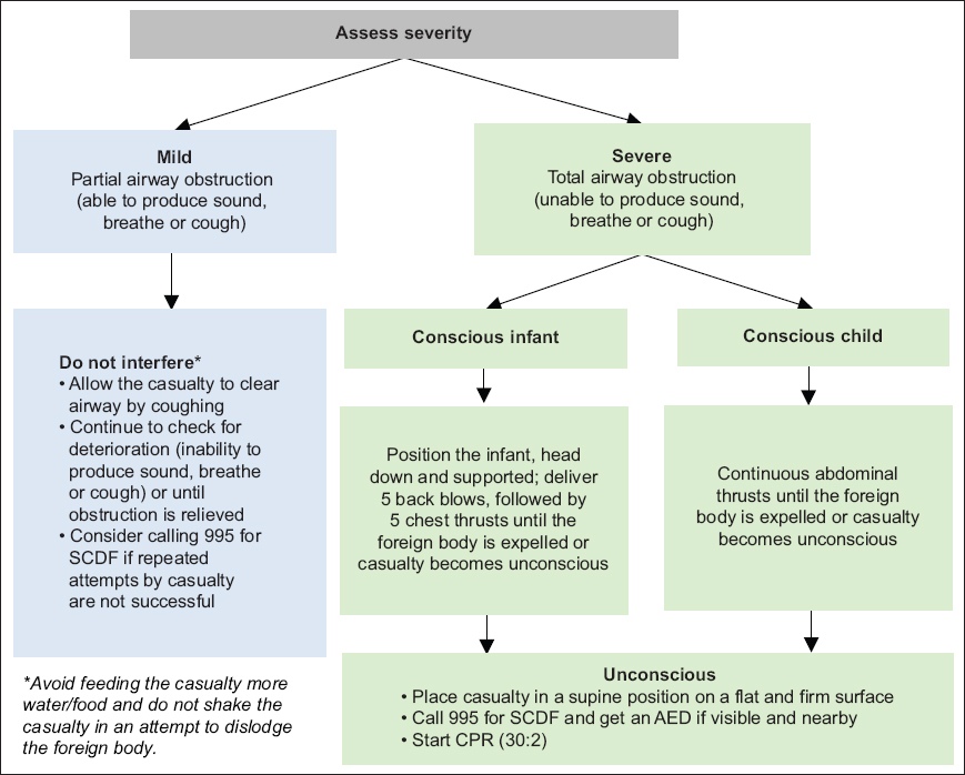 Singapore Paediatric Resuscitation Guidelines 2021 Smj